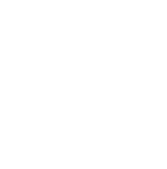 Grace 101 logo
