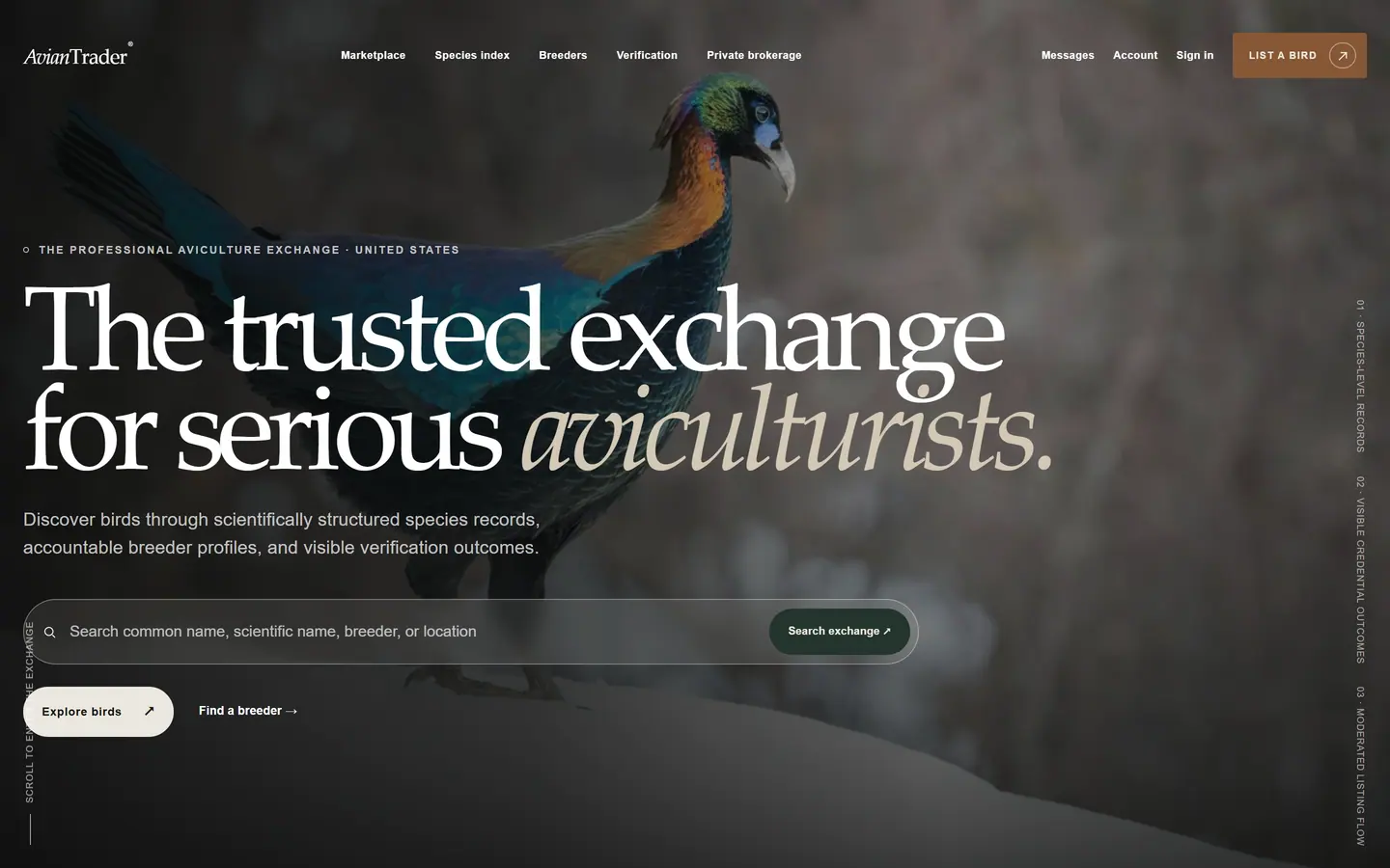 Avian Trader desktop production interface