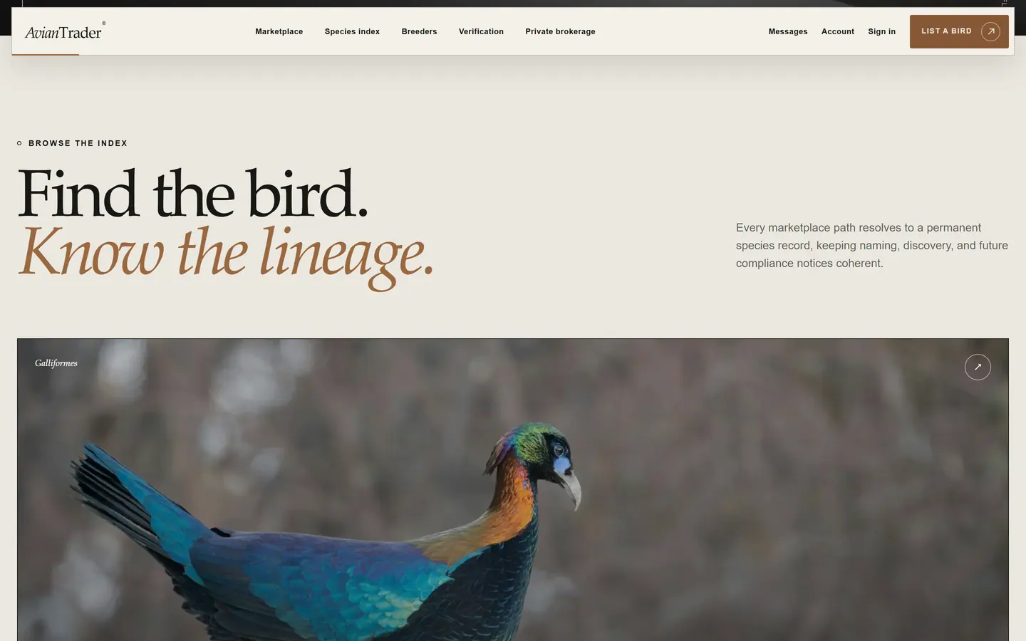 AVIAN TRADER production website interface